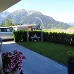 Auer