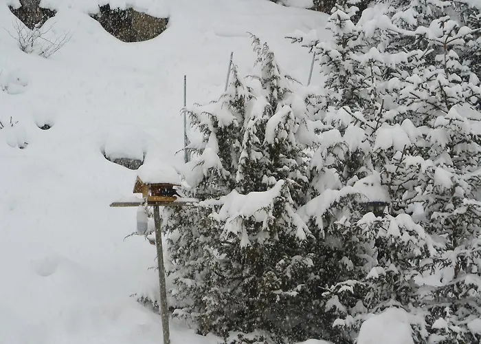 Διαμέρισμα Auer *